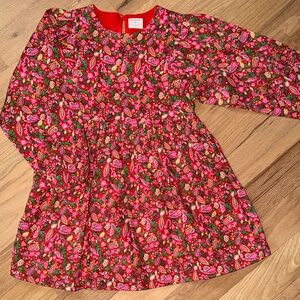 Crewcuts J. Crew Floral Long Sleeve Dress Pink Red Green Print girls sz 8